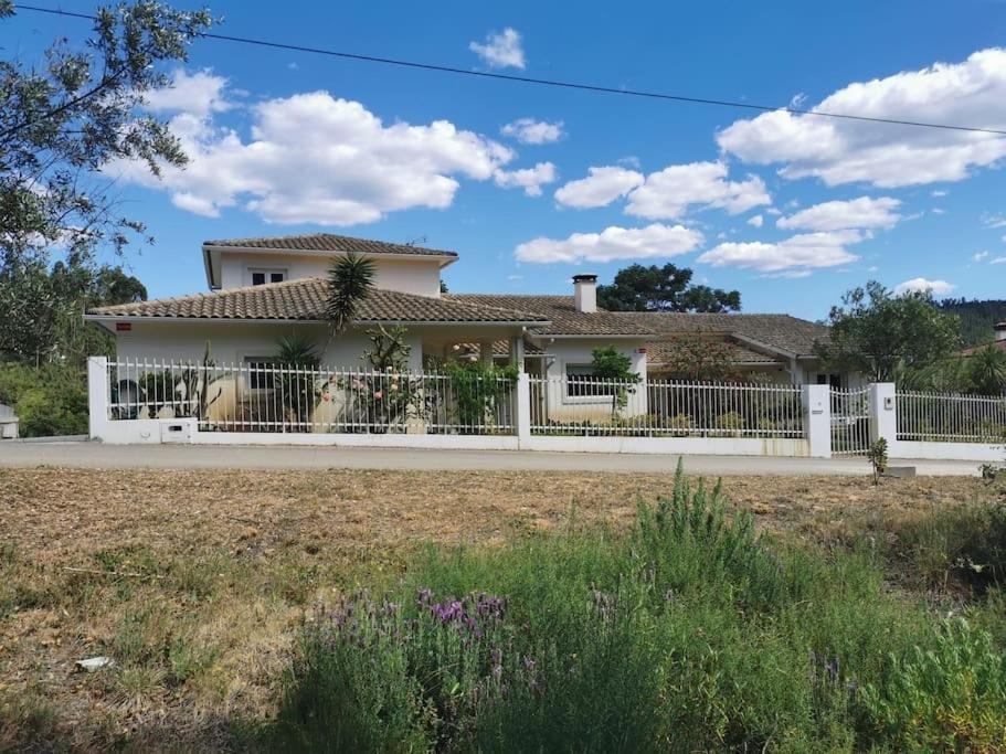 Cantinho Da Alice Family Villa Sertã Εξωτερικό φωτογραφία