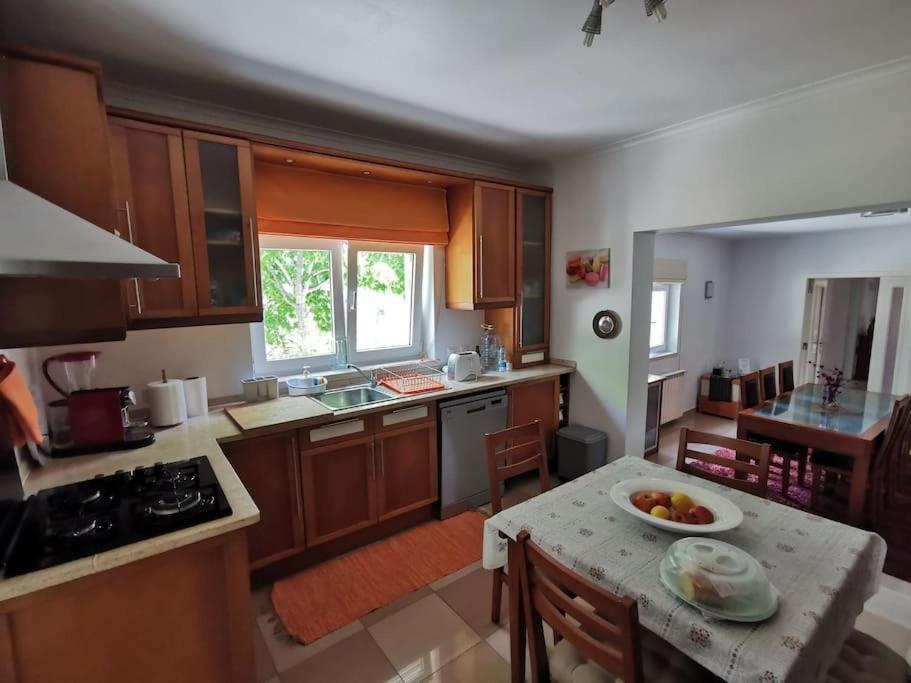 Cantinho Da Alice Family Villa Sertã Εξωτερικό φωτογραφία