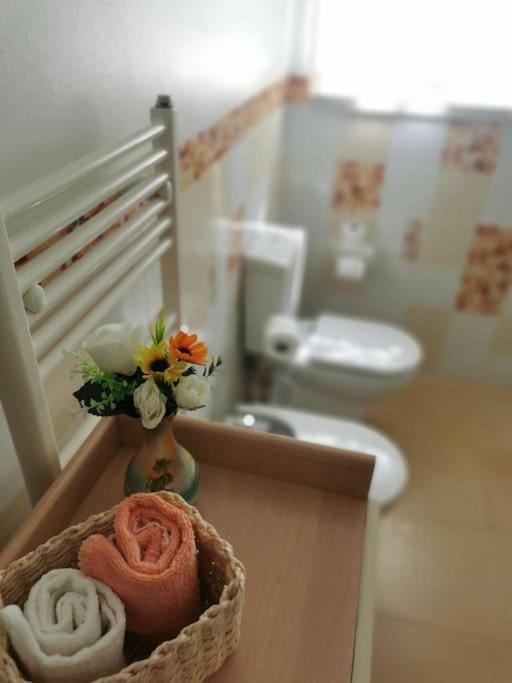 Cantinho Da Alice Family Villa Sertã Εξωτερικό φωτογραφία
