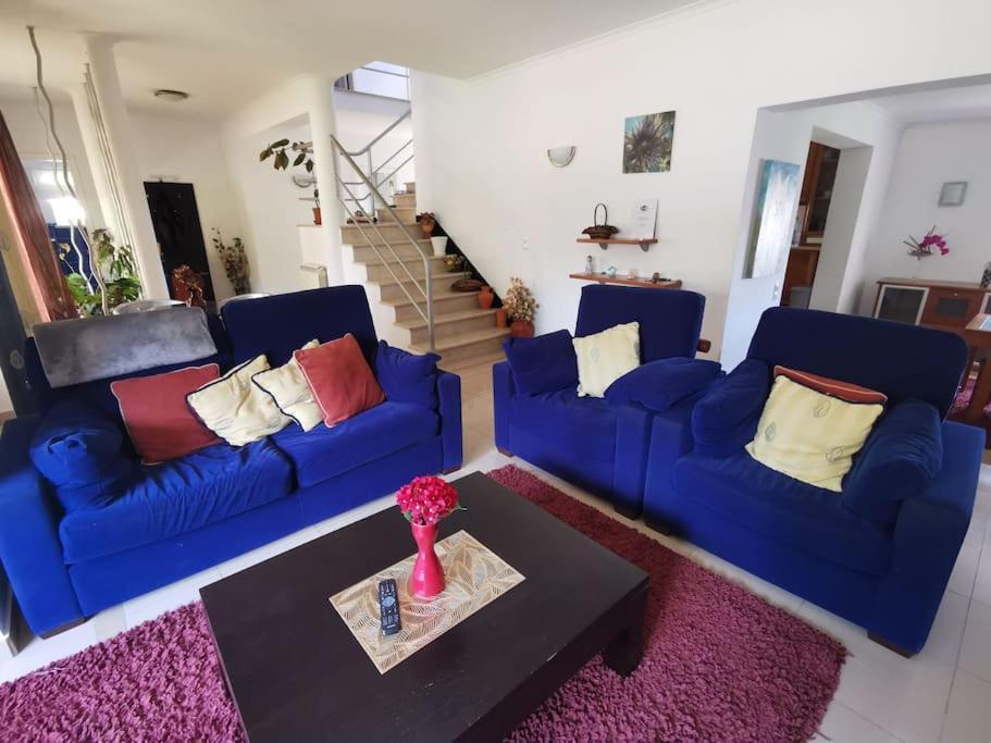 Cantinho Da Alice Family Villa Sertã Εξωτερικό φωτογραφία