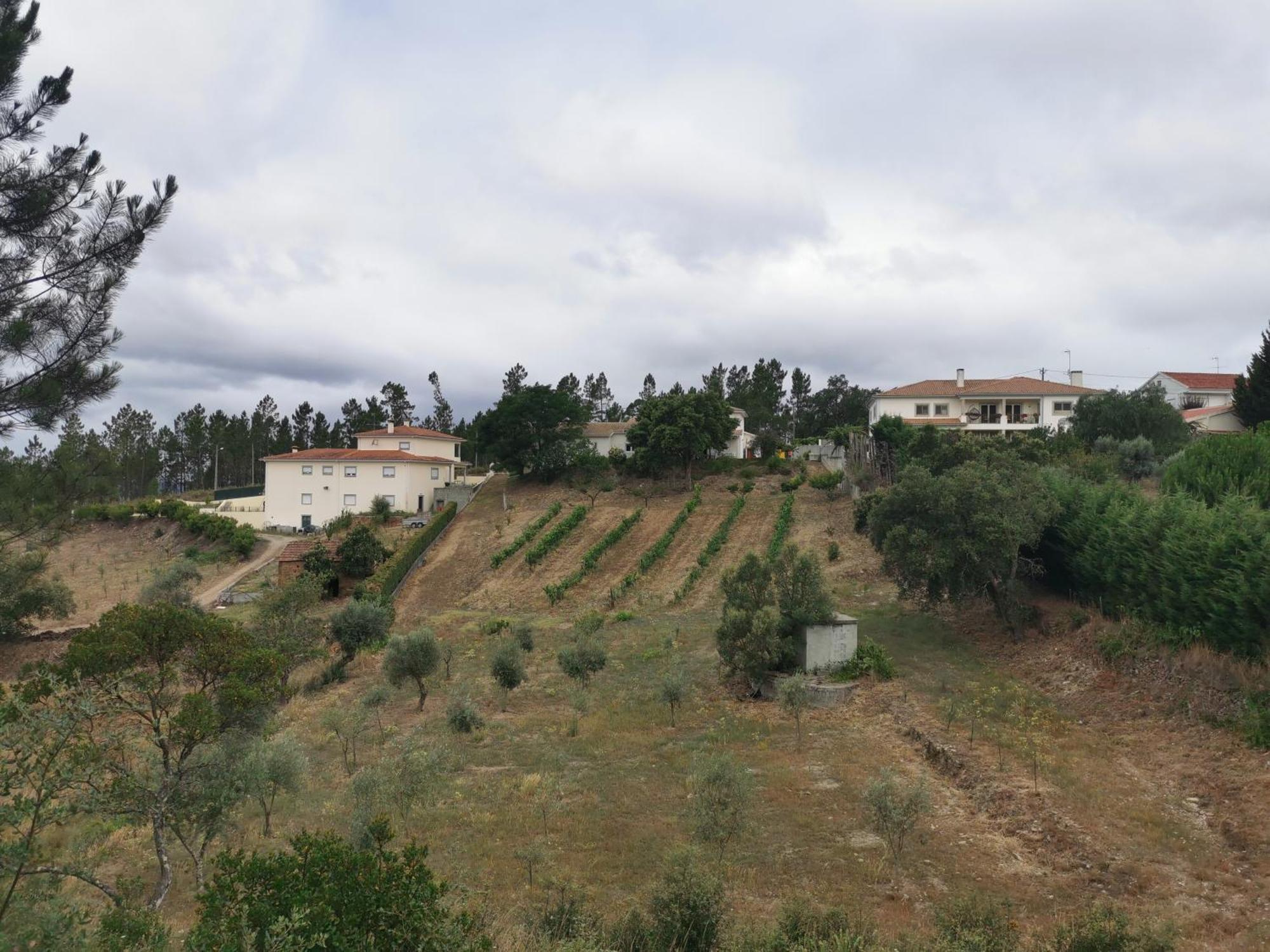 Cantinho Da Alice Family Villa Sertã Εξωτερικό φωτογραφία