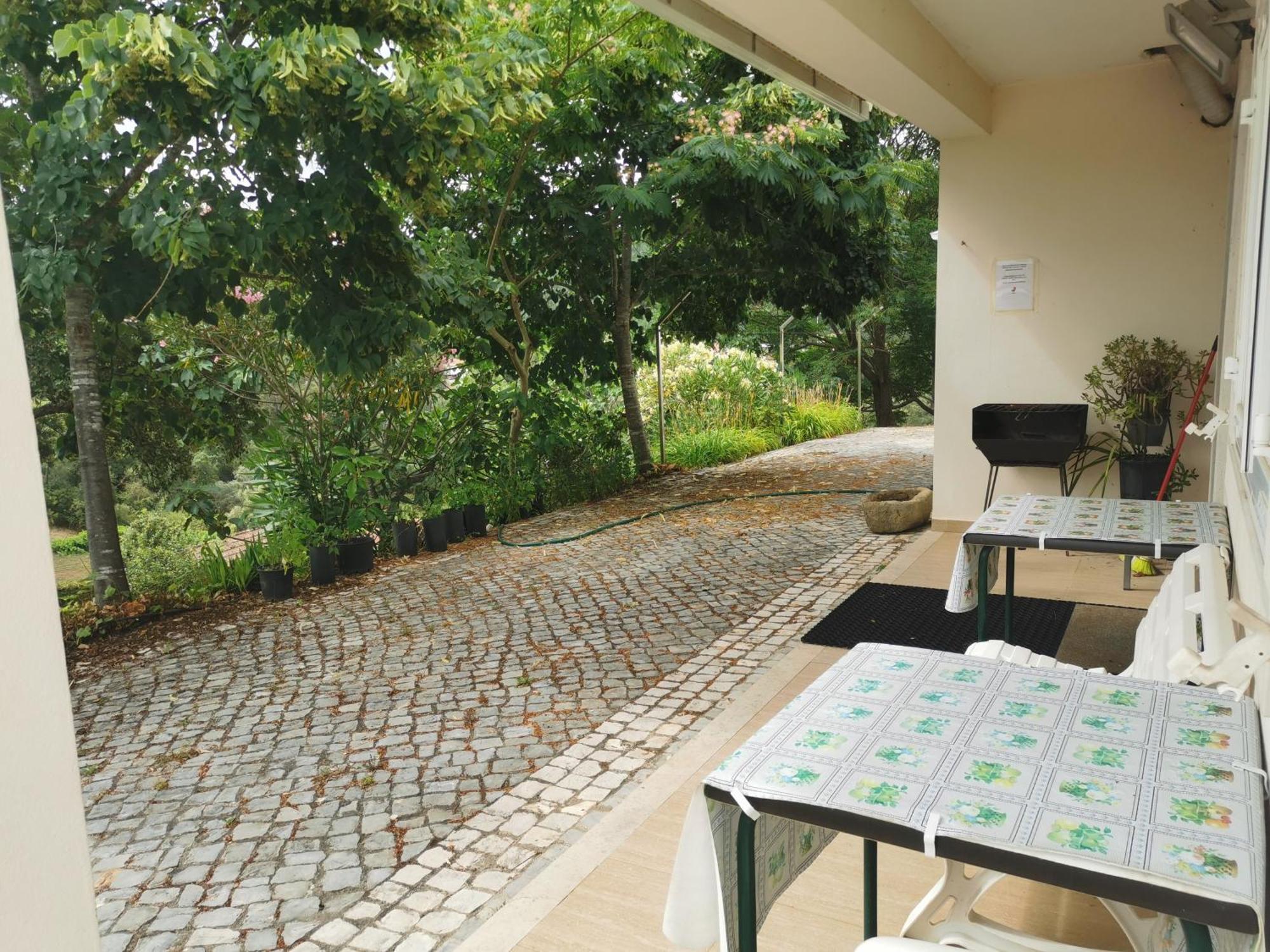 Cantinho Da Alice Family Villa Sertã Εξωτερικό φωτογραφία